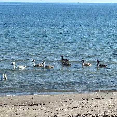 Mit Neuer Kueche U Bad - W-lan 아파트