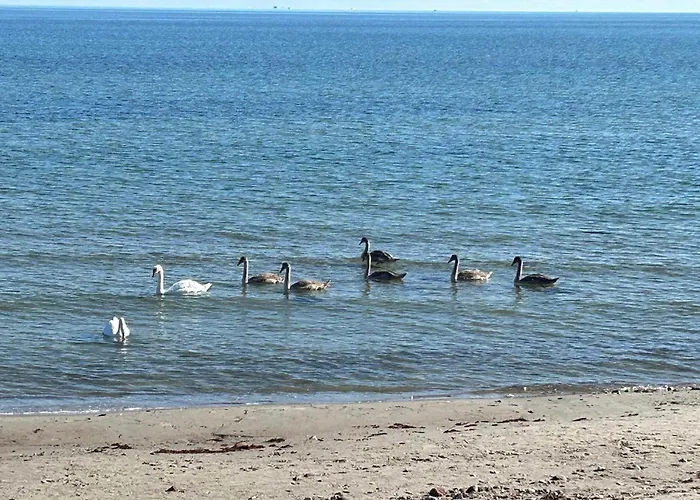 Mit Neuer Kueche U Bad - W-lan Appartement